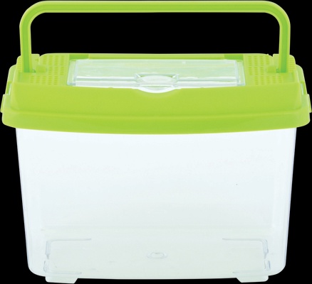 Caja de Estudio de Insectos